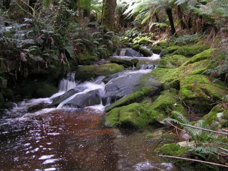 Blue Derby MTB Trail